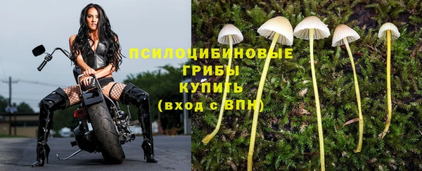 соль курить ск Вяземский