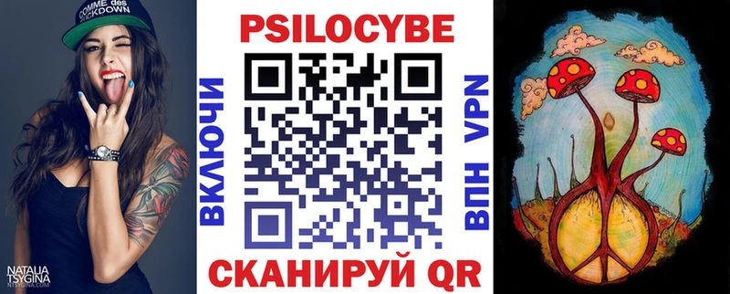 купить наркоту  Далматово  Галлюциногенные грибы Psilocybe 