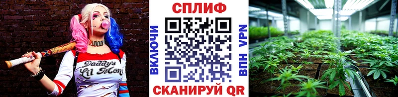 Канабис план Далматово